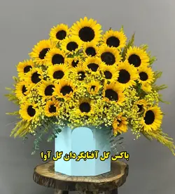 باکس گل آفتابگردان کد 107