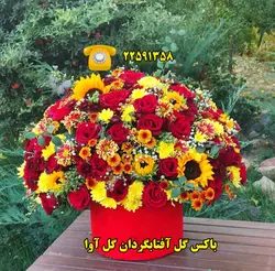 باکس گل آفتابگردان کد 106