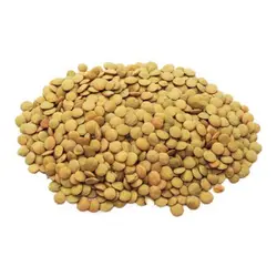 عدس فله ای درشت خوش پخت 1 کیلویی