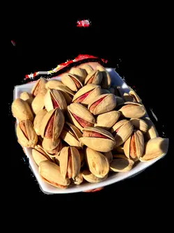 پسته اکبری دستچین(خام)