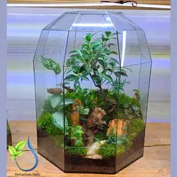 تراریوم کد 110 بزرگ