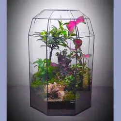 تراریوم کد 110 کوچک