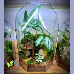 تراریوم کد 102 متوسط