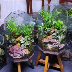 تراریوم کد 102 متوسط