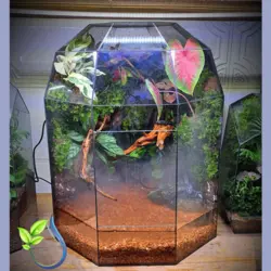 تراریوم کد 102 بزرگ