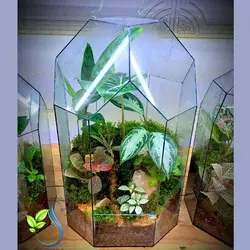 تراریوم کد 102 متوسط