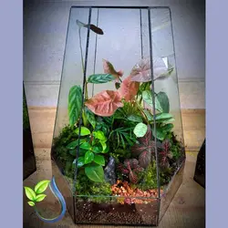 تراریوم کد 103