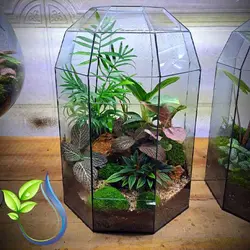 تراریوم کد 110 کوچک