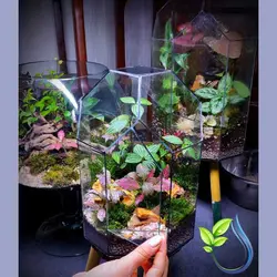 تراریوم کد 102 کوچک