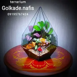 تراریوم کد 111 کوچک