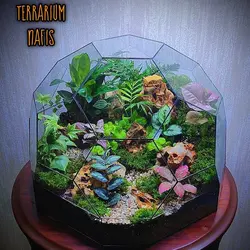 تراریوم کد 111 سایز بزرگ