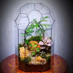 تراریوم کد 109 کوچک