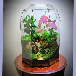 تراریوم کد 110 سایز متوسط