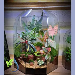 تراریوم کد 110 بزرگ