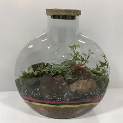 تراریوم مدل آنتالیا بزرگ