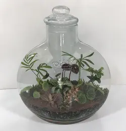 تراریوم مدل آنتالیا بزرگ