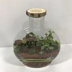 تراریوم مدل آنتالیا متوسط