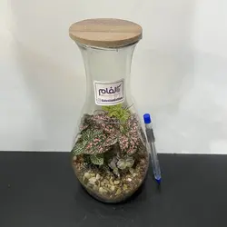 تراریوم مدل دوغ خوری