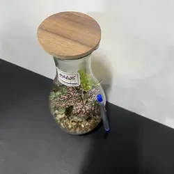 تراریوم مدل دوغ خوری