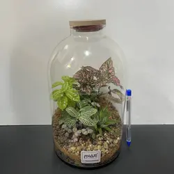 تراریوم مدل لیلیوم بزرگ