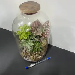 تراریوم مدل لیلیوم بزرگ