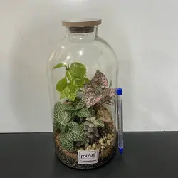 تراریوم مدل لیلیوم کوچک