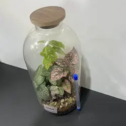 تراریوم مدل لیلیوم کوچک