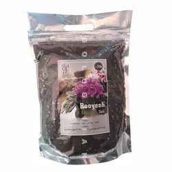 خاک بنفشه آفریقایی 3 لیتری رویش