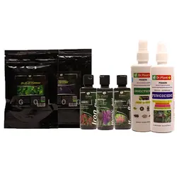 پک مراقبتی و درمانی فیکوس بنجامین