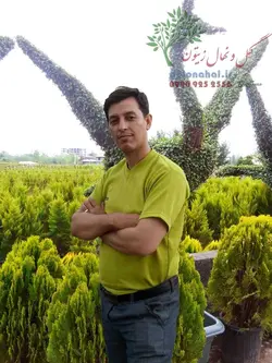 نهال کامیس پاریس سطل ۱۰