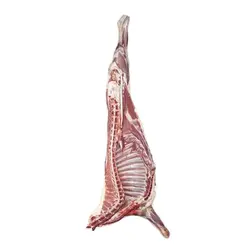 شقه گوسفندی (شیشک) با دنبه
