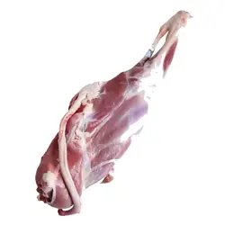 ران  بره
