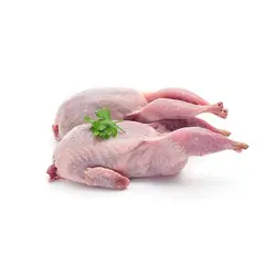 بلدرچین تازه