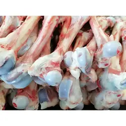 قلم بره