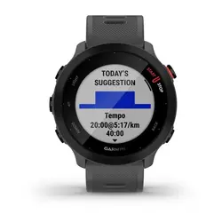 ساعت گارمین Forerunner 55 Grey