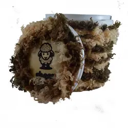 سطل فانتزی شیپ