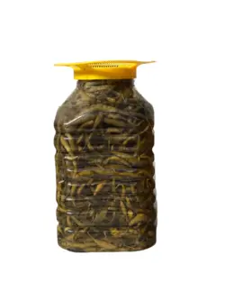 عنوان