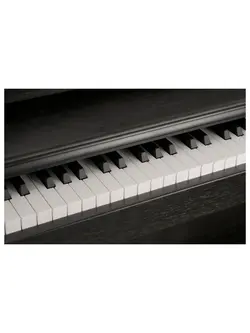 NUX WK-520 88-Key Digital Piano Black