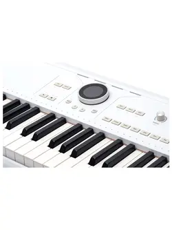 Arturia AstroLab 61-Key Stage Keyboard