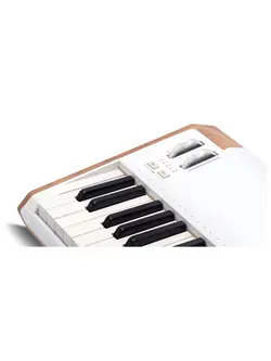 Arturia AstroLab 61-Key Stage Keyboard