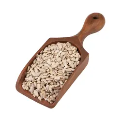 مغز تخمه افتابگردان