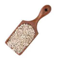 مغز تخمه افتابگردان
