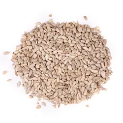 مغز تخمه افتابگردان