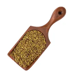 شاهدانه شور