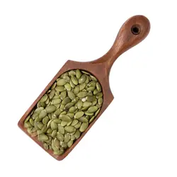 مغز  تخمه کدو