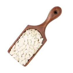 کدو گوشتی  خام
