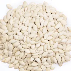 کدو گوشتی  خام