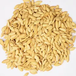 کدو خویی