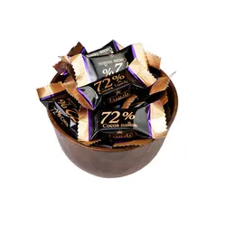 پارمیدا تلخ72