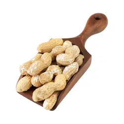 بادام زمینی غلاف دار برشته